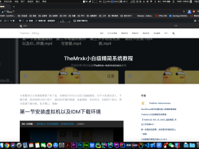 TheMrxk小白级精简系统教程
